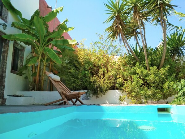 The garden and the tiny pool