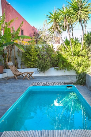 The garden and the tiny pool