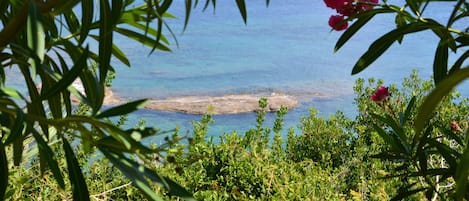 Beautiful view from the shore... Spartia Kefalonia Greece vacations