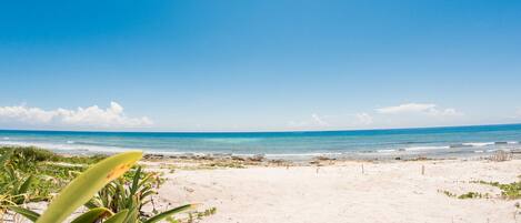 beach is 50 meteres from the house just across the little road