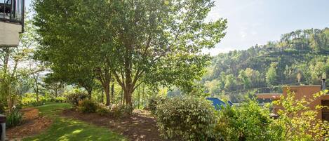 Your view off of the porch area.