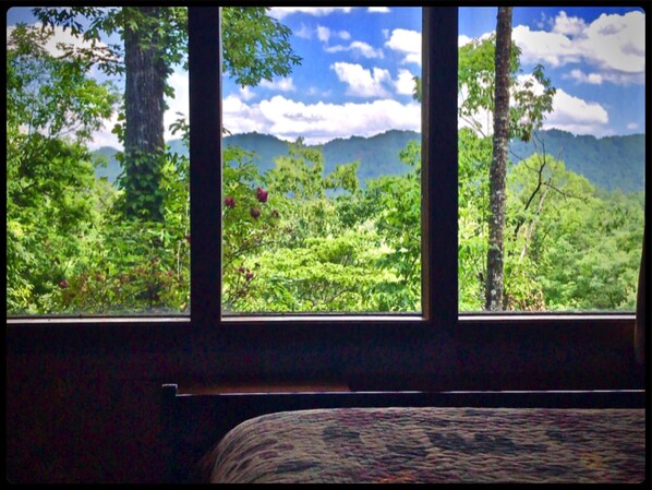 Wake to the Beautiful Views from the Spacious Master Suite