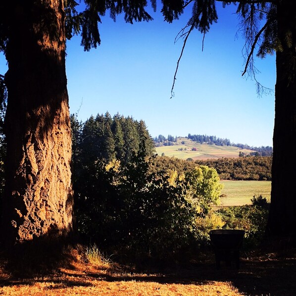 Dundee Hills from the back yard