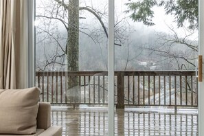 View from the living room, facing the woods