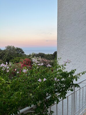 Boendeområde