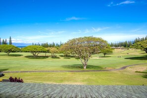 Endless greens, ocean blue, and island skies?this view isn?t just scenic, it?s soul-soothing KGV-16T4
