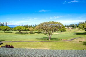 Kapalua Resort has it all!