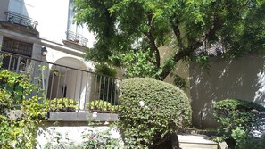 court yard 
Garden
