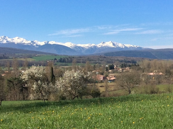 Views from outside the village .