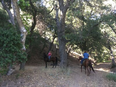 6 Acre Ranch w 6 Casitas+Pool/Hot Tub - 30 min to Julian (Perfect for Groups!)