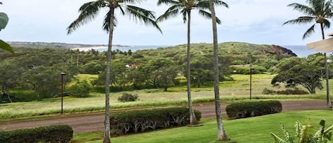 Maunaloa Vacation Rental | 2BR | 2BA | 1,000 Sq Ft | Steps to Enter