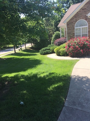 Showing more of front yard