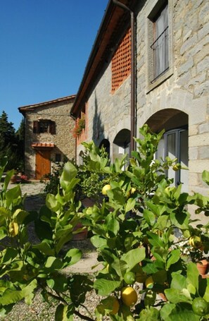 Exterior detail