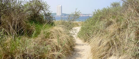 Auf zum Strand