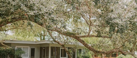 The Main Suite at Oakshade