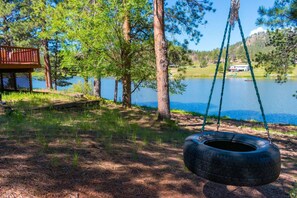 Have Fun on the Tire Swing