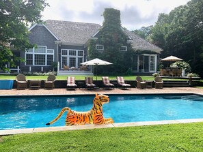 Heated gunite pool. 4 lounge chairs, 2 umbrellas and a daybed.