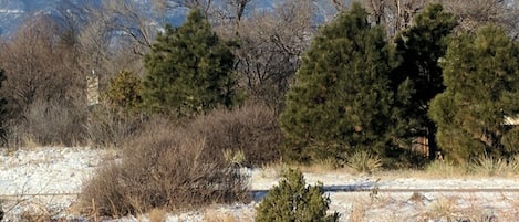 View from front and hiking path