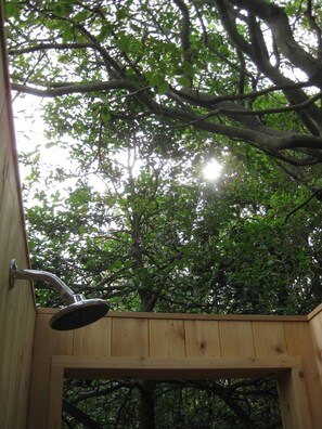 Outdoor shower with "tree window" and overhanging branches