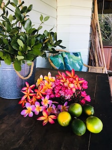 Byron Bay Hinterland - Rosebank View 