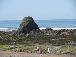 Black rock.  Rock pools at low tide.