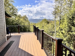 Deck View