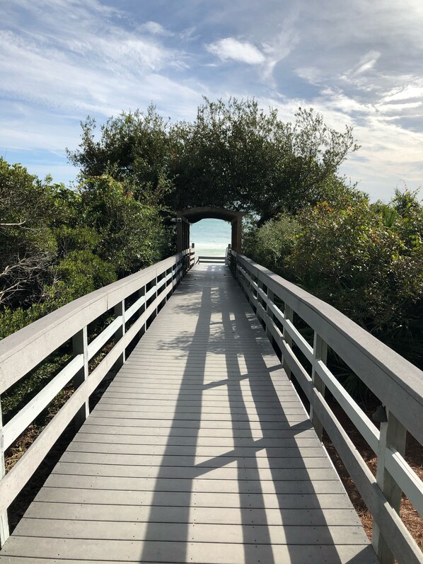 Paradise