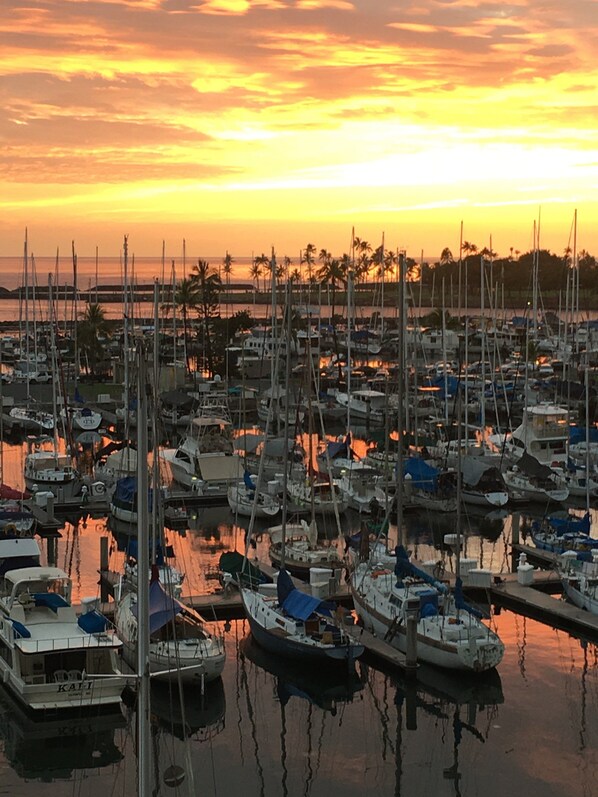 Marina