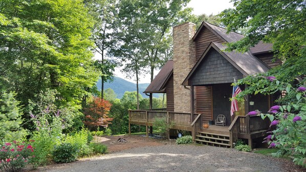 Spring at the Mountain Laurel