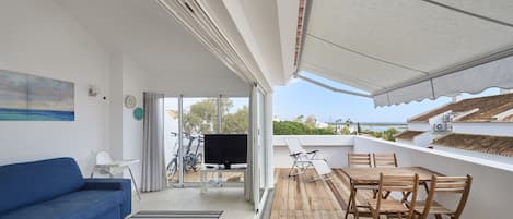 Living Room and Terrace