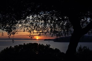Blick am Abend aufs Meer