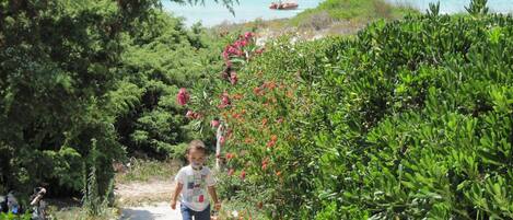 giardinetto sulla spiaggia