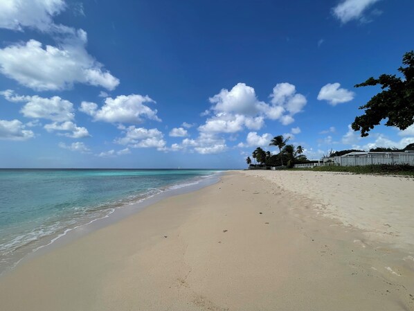 Freshwater Bay Beach - Steps from your apartment
