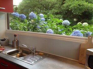 Aucun vis à vis mais des hortensias bleus, magnifiques à la saison.