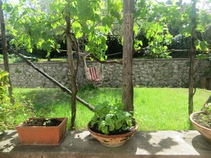Backside Garden