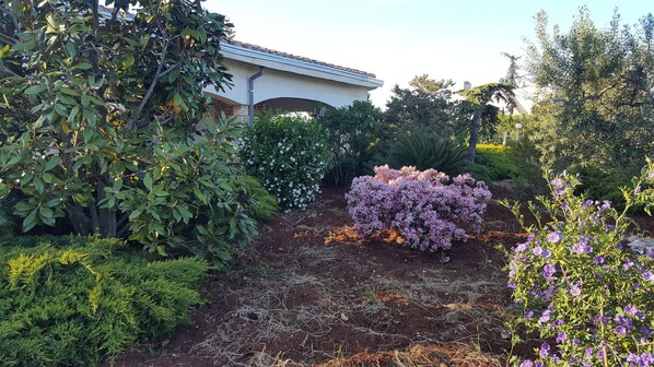 Jardines del alojamiento