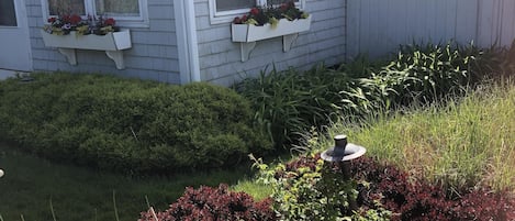 Quaint and beautiful oceanside cottage...