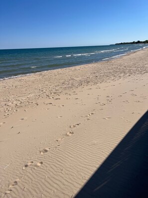 beach 2024