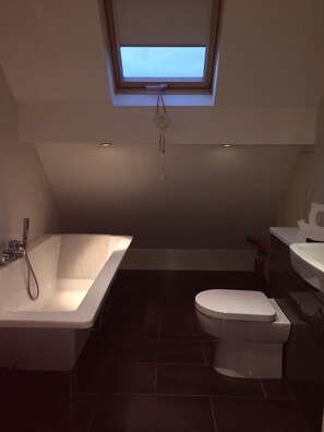 Main bathroom with TV 