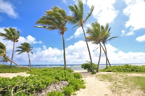 Pathway to the beach!