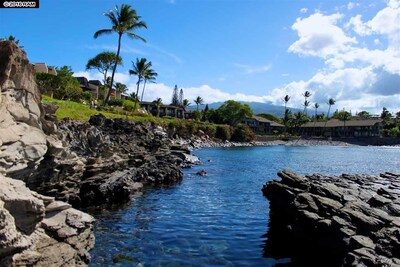 TURTLE COVE CABANA! Big Ocean Views! Napili Point