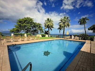 TURTLE COVE CABANA! Big Ocean Views! Napili Point