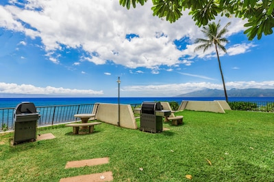 TURTLE COVE CABANA! Big Ocean Views! Napili Point