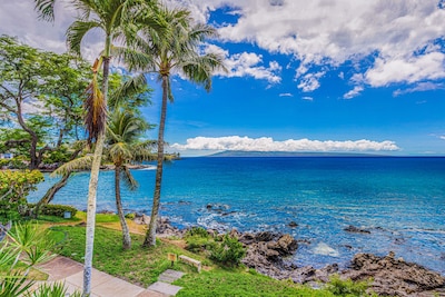 TURTLE COVE CABANA! Big Ocean Views! Napili Point