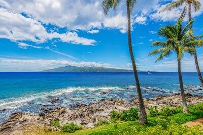 TURTLE COVE CABANA! Big Ocean Views! Napili Point