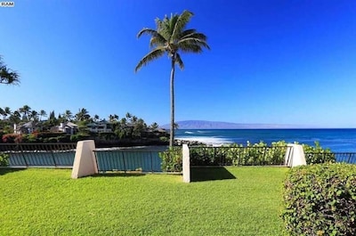 TURTLE COVE CABANA! Big Ocean Views! Napili Point