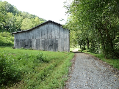 Shaggy Bark Camping4. A more private camping experience. The 75 acre Walker Farm