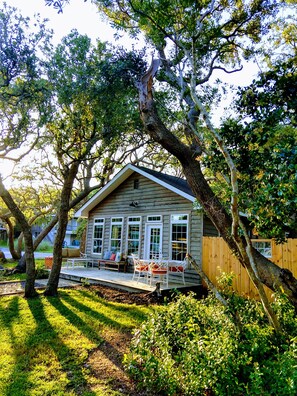 Large yard with magnificent live oaks