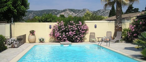 Piscine clôturée + alarme