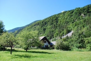Boendeområde
